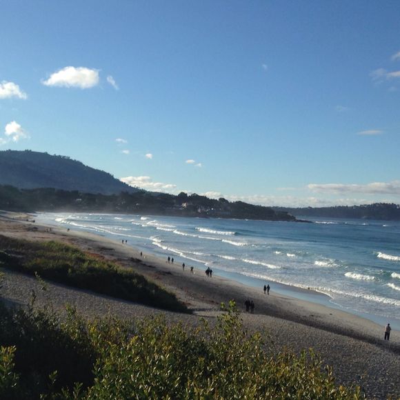 Meet your Posher, Ili - Picture 1 of 1